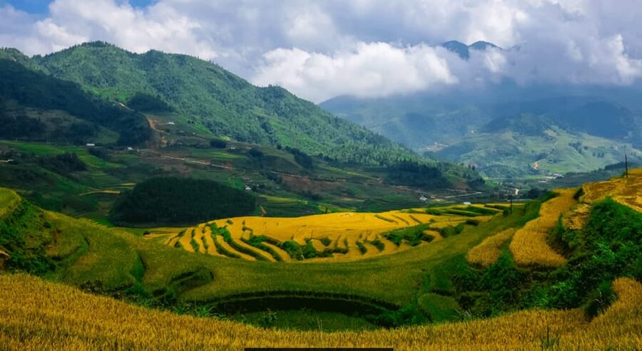 Sapa beautiful rice field, village - Easy walking kid,senior - Your English guide and the value of real explanations