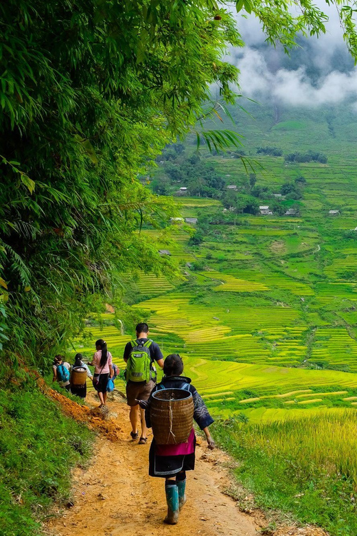 Sapa beautiful rice field, village - Easy walking kid,senior - Pickup, timing, and why the schedule matters in Sapa