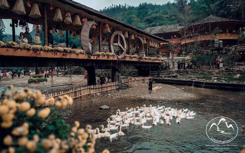 Sapa Cat Cat Village And Y Linh Ho Private Trekking Tour - Key Things To Know Before You Go