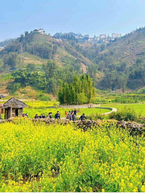 Sapa Cat Cat Village And Y Linh Ho Private Trekking Tour - Cat Cat Village: Hmong Daily Life, Wooden Homes, and Waterfall Sounds