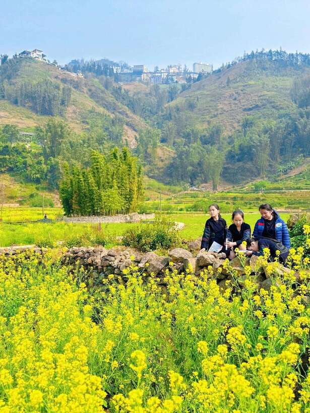 Sapa Cat Cat Village And Y Linh Ho Private Trekking Tour - Y Linh Ho Mountain Pass: Panoramic Views Over Hoang Lien Son