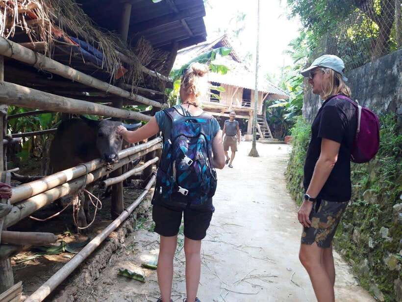 Sapa Cat Cat Village And Y Linh Ho Private Trekking Tour - Who This Tour Suits Best