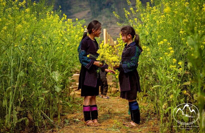 Sapa Cat Cat Village And Y Linh Ho Private Trekking Tour - Starting Smooth: Hotel Pickup and a Day You Can Actually Enjoy