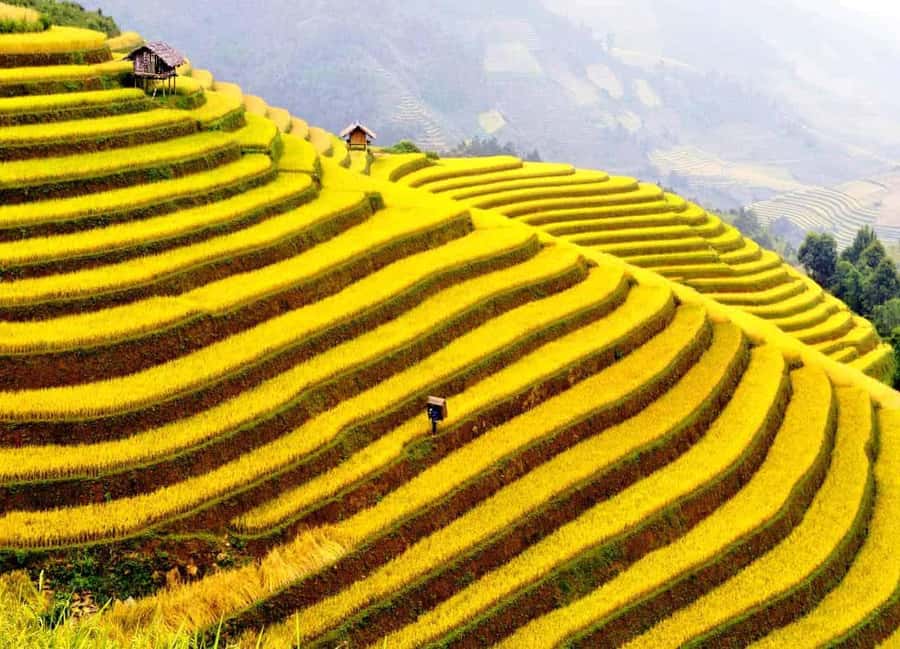 Sapa: Cat Cat Village, Moana, Alpine Coaster, Fansipan Cable - Alpine Coaster vs Fansipan: Pick Based on Time and Mood