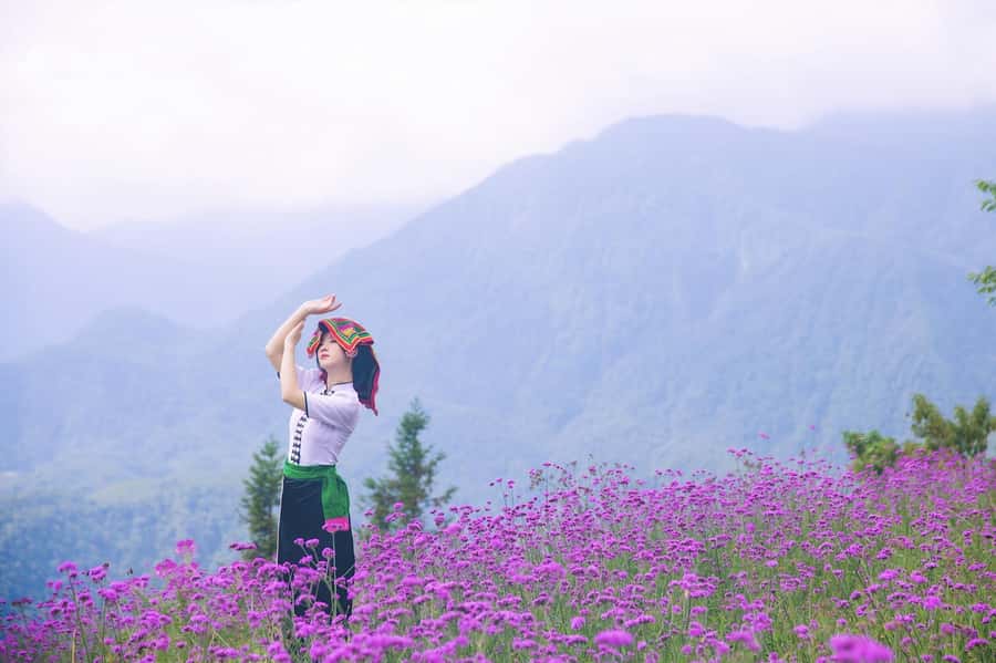 Sapa: Cat Cat Village, Moana, Alpine Coaster, Fansipan Cable - Value Math: What $33 Gets You, and What You Still Might Pay