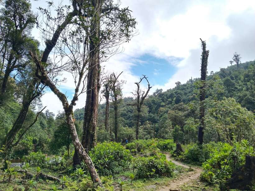 SAPA : Climb up to Fansipan mountain with LOCAL GUIDE - Pickup and Tram Ton Pass: starting with Sapa convenience