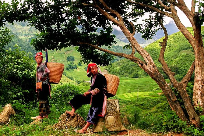 Sapa Easy Trekking Tour 1 Day - Rice Paddies and Cultures - Sapa Easy Trekking: How Easy Is This, Really?