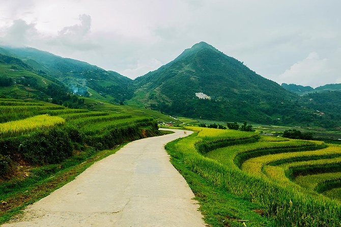 Sapa Easy Trekking Tour 1 Day - Rice Paddies and Cultures - Lunch and Practical Comfort: Vegetarian, but Plan for Drinks