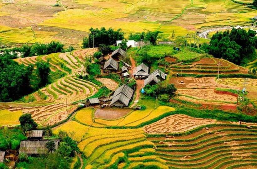 Sapa: Eco Adventure Terrace Fields and Local Villages Trek - Key Things I Think You’ll Care About