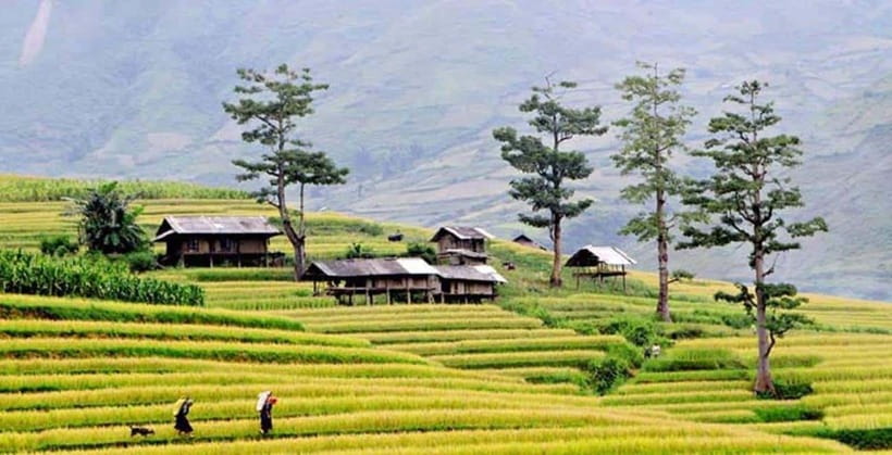 Sapa: Eco Adventure Terrace Fields and Local Villages Trek - Why This Sapa Trek Feels More Human Than Tourist