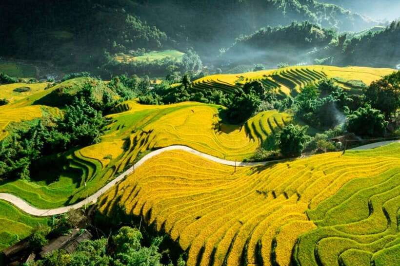 Sapa: Eco Adventure Terrace Fields and Local Villages Trek - Y Linh Ho Village Stop: Hmong Community Life and a Scenic Bridge Moment
