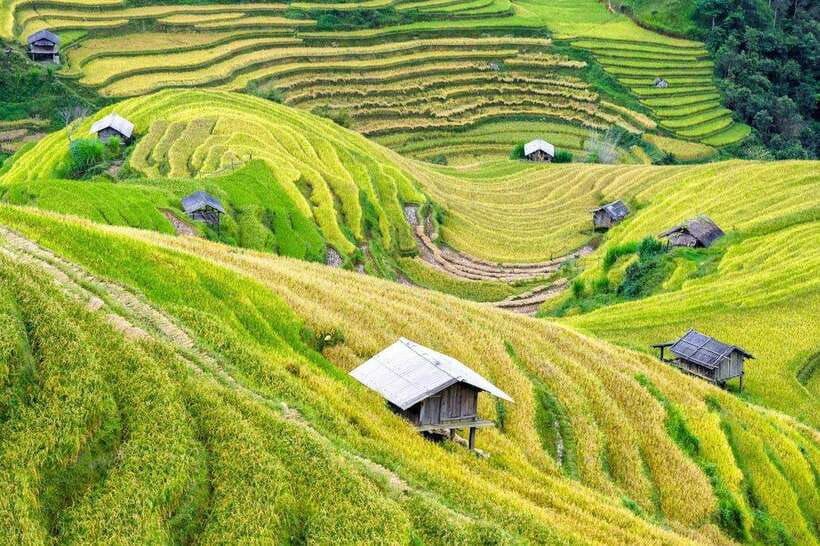 Sapa: Eco Adventure Terrace Fields and Local Villages Trek - Lao Chai Sang to Lunch at 12:30 PM: Home-Cooked Food That Actually Feels Local