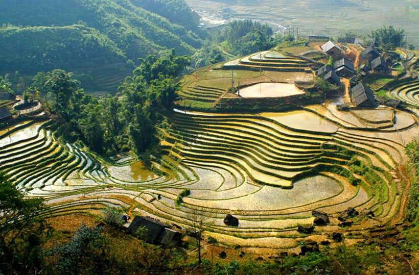 Sapa: Eco Adventure Terrace Fields and Local Villages Trek - Lao Chai Village Afternoon: Rice Season Watching and Clothing-Making Lessons