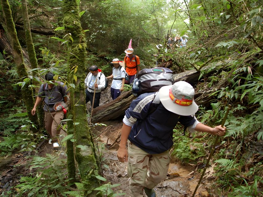 Sapa: Epic 1-Day Trek to Fansipan Mountain Peak - Primary Forest Trek: Where the Climb Feels Real