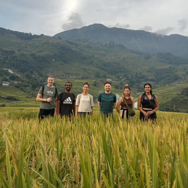 Sapa: Full-Day Trekking Tour to Lao Chai and Ta Van Village - Rice Terraces to Lao Chai, the Part You’ll Talk About Later