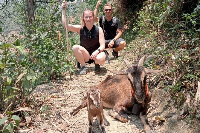 Sapa Half Day Local Farming Experience - Brunch From Your Own Hands: Food Value You Can Taste