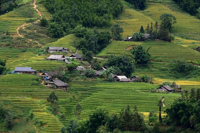 Sapa Half Day Private Car or Motorbike Customized Scenic Tour - O Quy Ho Pass glass bridge decision: thrilling, but plan the entry fee