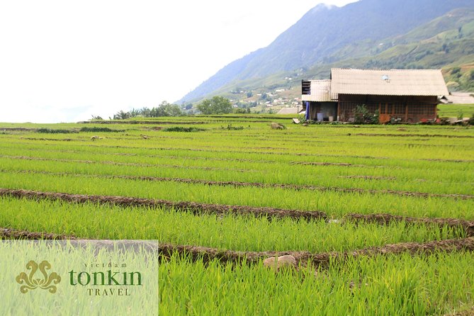 Sapa hard trekking villages homestay 3days/ 2nights tour - amazing culture - The pace, timing, and what “hard trekking” means here