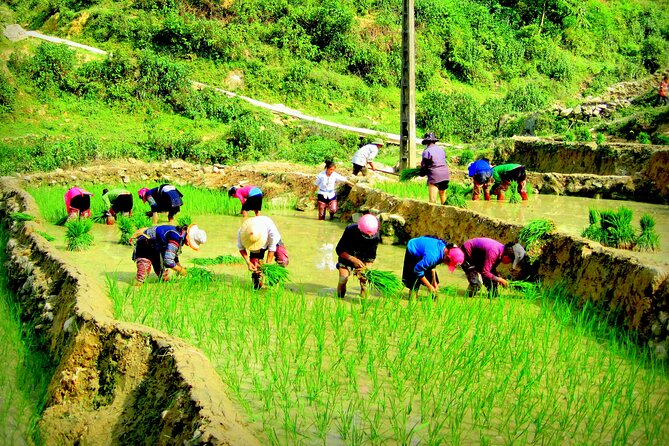 Sapa Hmong Family Trekking Adventures - Sapa Hmong Family Trekking Adventures, the real reason people say yes