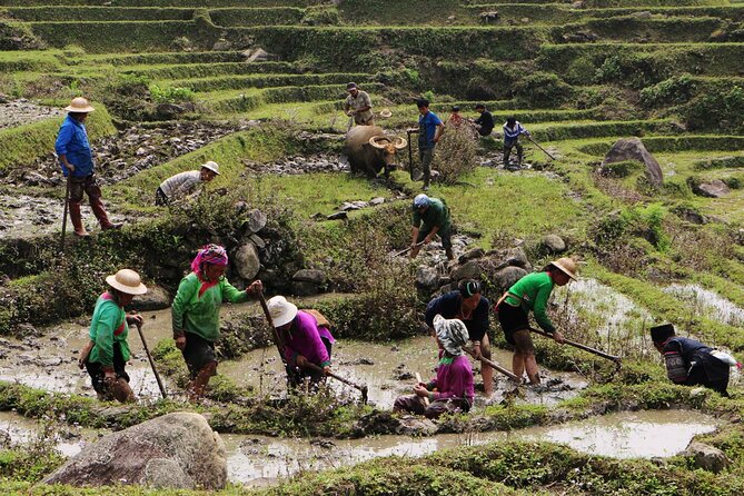 Sapa Hmong Family Trekking Adventures - Pickup, start times, and the simple rhythm of day 1