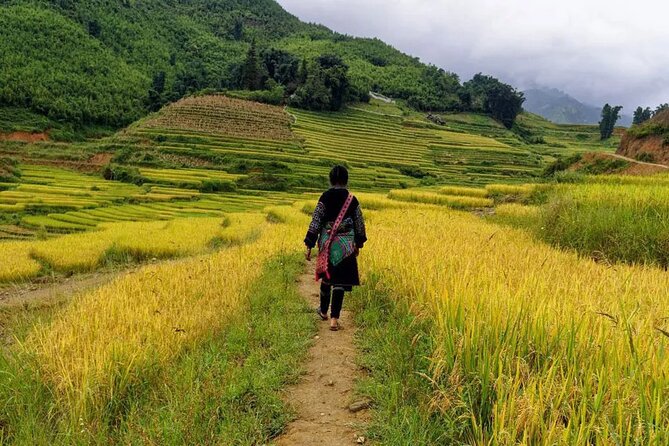 Sapa Local Trekking Adventures - Guides, pacing, and why group size is the hidden feature
