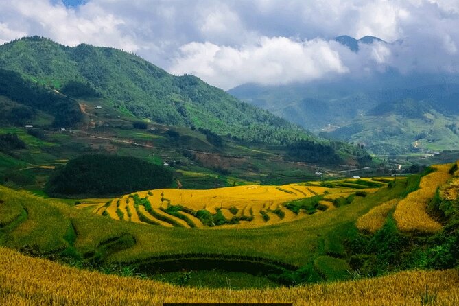 Sapa Love Silver Waterfall, Lonely Tree in Heaven Gate,San Sa Ho - Love Waterfall walk: old trees, golden streams, and a national park vibe