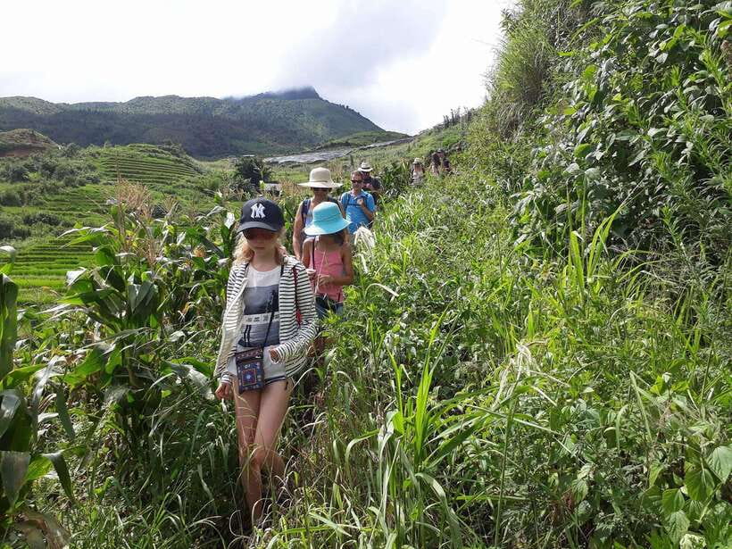 Sapa: Love Silver Waterfall, LonelyTree in Heaven-Rice Field - Sin Chai rice terraces and the long down-hill trek