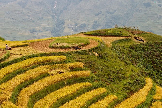 Sapa Motorbike Tour 1 Day| See All Of Rice Fields & Valleys in One Day - Why This 1-Day Motorbike Loop Works in Sapa