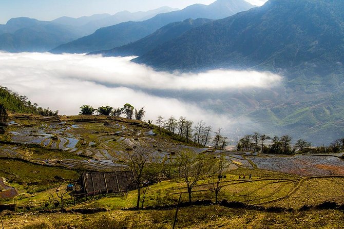 Sapa Motorbike Tour 1 Day| See All Of Rice Fields & Valleys in One Day - What the Guide Actually Covers, Beyond the Rice Fields