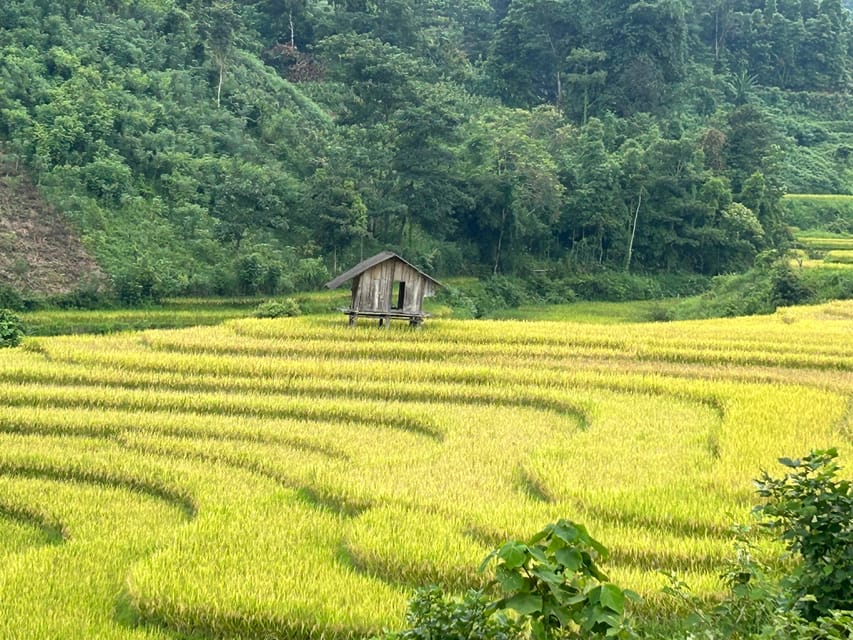 Sapa: Motorbike Tour 1 Day Visit Waterfalls & Local Villages - Tả Van, Hầu Thào, Su Pán, then Back to Sapa