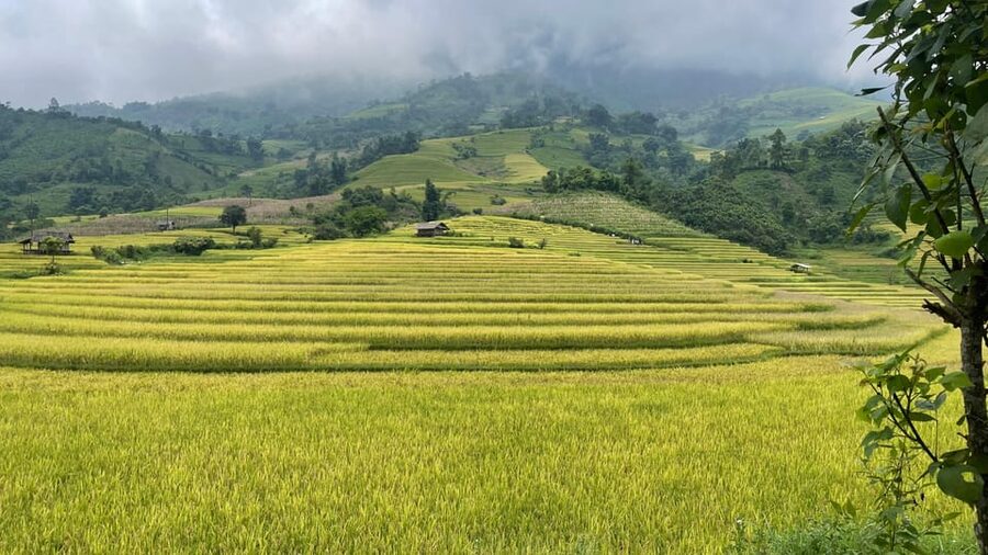Sapa: Motorbike Tour 1 Day Visit Waterfalls & Local Villages - Lunch in Lao Chải by the Stream, Then a Black Hmong Family Visit