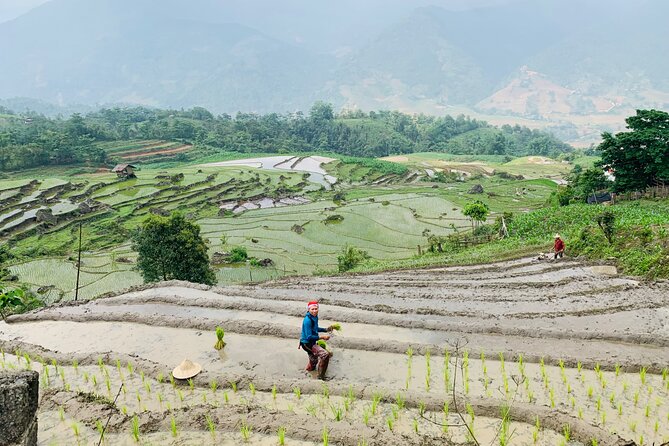 Sapa Motorbike Tour With Local Guide 1 Day - Waterfalls, Villages - Lunch at a Local Restaurant and a Village House Visit