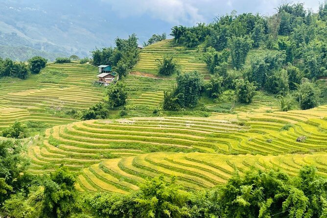 Sapa Motorbike Tour With Local Guide 1 Day - Waterfalls, Villages - Price and Value: What $65 Covers and What It Does Not