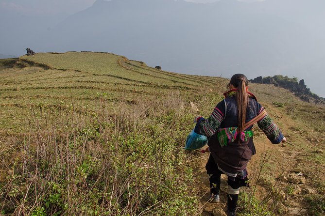 Sapa Mountain View and Villages Trek - Guide quality and pacing, with Gio mentioned by name