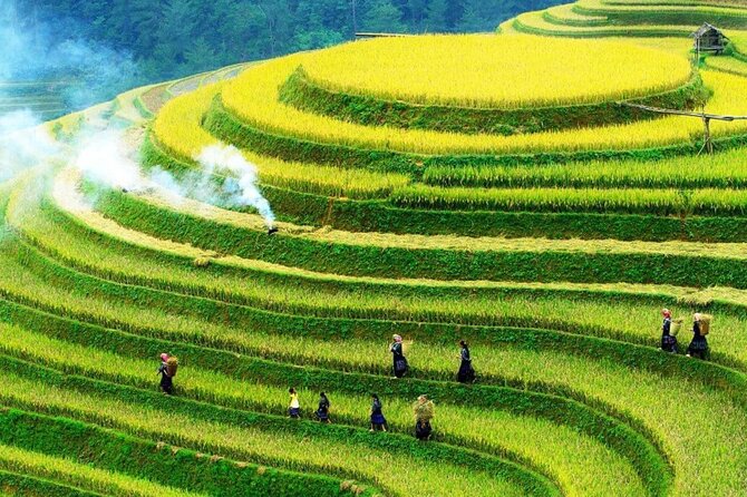Sapa Muong Hoa Valley & Ta Van Eco Village Scenic Tour (No Trek) - A Half-Day Loop That Lets You Skip the Big Trek