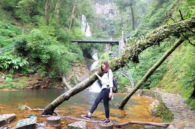 Sapa Private Car Tour to Silver & Love Waterfalls and Lonely Tree - What this Sapa private car tour is really good for