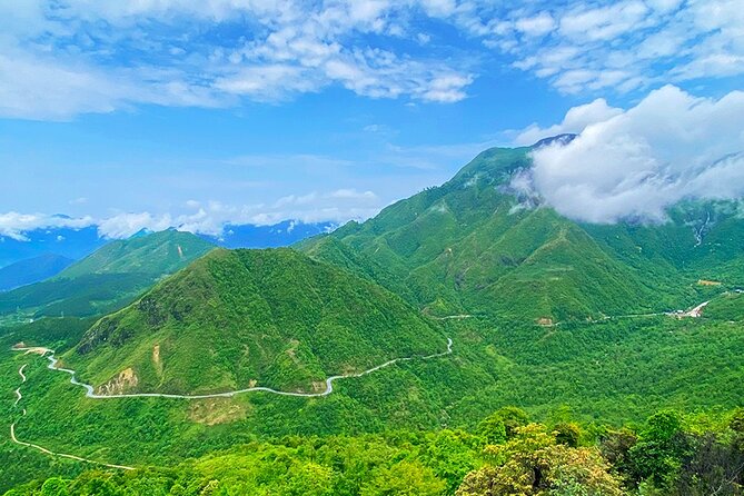 Sapa Private Car Tour to Silver & Love Waterfalls and Lonely Tree - Price and value: is $50 per person a smart deal?