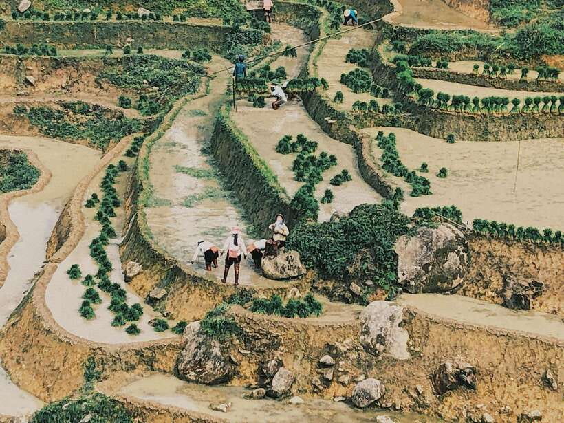 Sapa: Private Highlights Day Tour with Lunch - Key Highlights Worth Planning Around