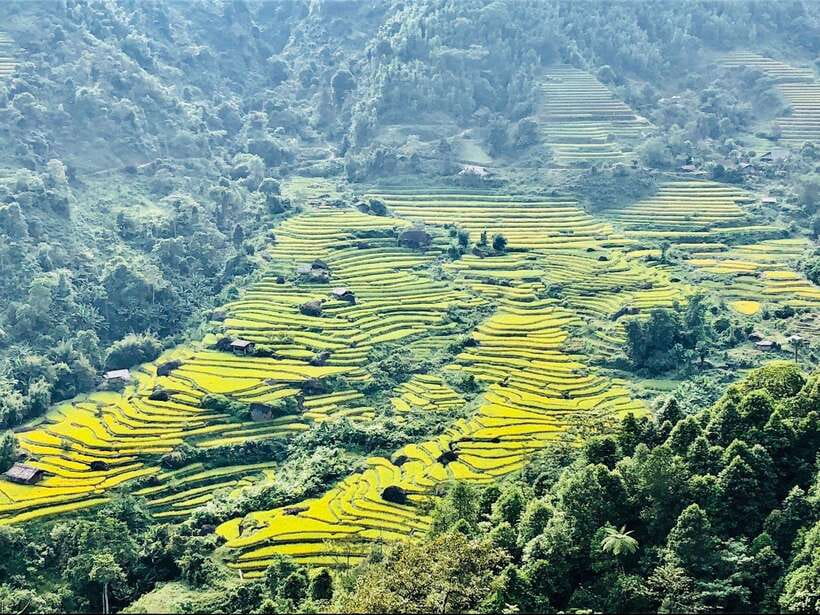 Sapa: Private Highlights Day Tour with Lunch - Pickup From Sa Pa, And How Private Touring Feels Here