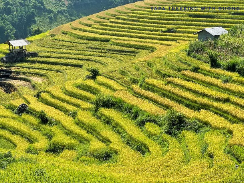 Sapa: Private Muong Hoa Valley and Homestay Trekking 2-Day - Muong Hoa Valley in two days, without the rush