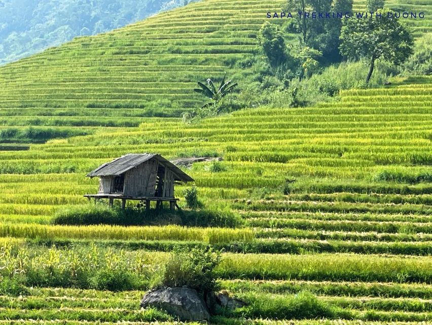Sapa: Private Muong Hoa Valley and Homestay Trekking 2-Day - The homestay transition: arriving Giay territory and comparing cultures