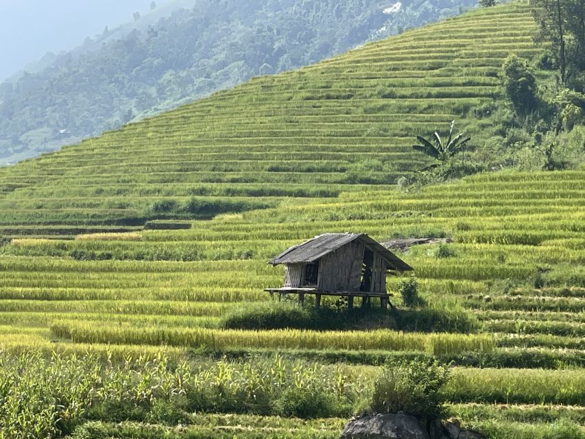 Sapa: Private Muong Hoa Valley and Homestay Trekking 2-Day - Day 2: Ta Van, terraces and bamboo, then Giang Ta Chai waterfall