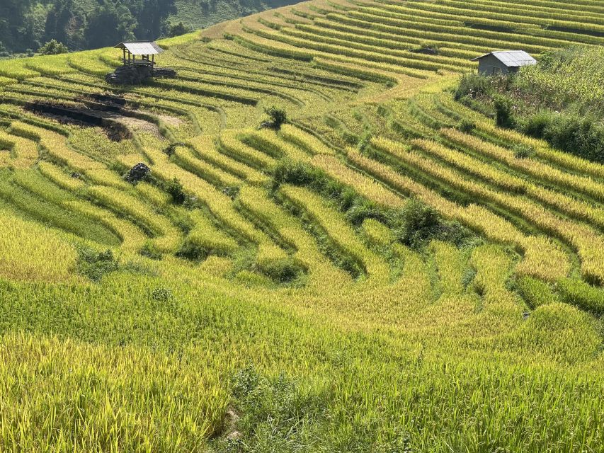 Sapa: Private Muong Hoa Valley and Homestay Trekking 2-Day - Who this private Muong Hoa trek suits best