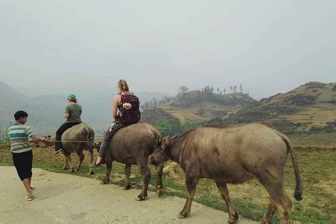 Sapa private: One day of funny Buffalo Ride & Trekking Tour - What You Are Actually Doing in This 5-Hour Sapa Day
