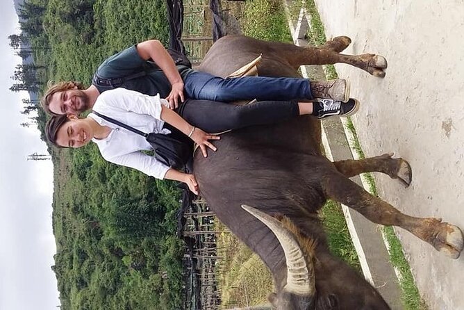 Sapa private: One day of funny Buffalo Ride & Trekking Tour - Starting Point at 13 Tuệ Tĩnh: Easy Access to a Country Day