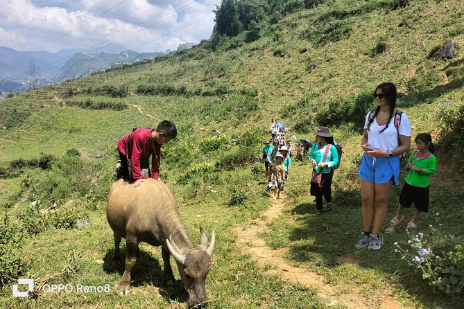 Sapa private: One day of funny Buffalo Ride & Trekking Tour - Suối Hồ and the Black Hmong Village Look-Through