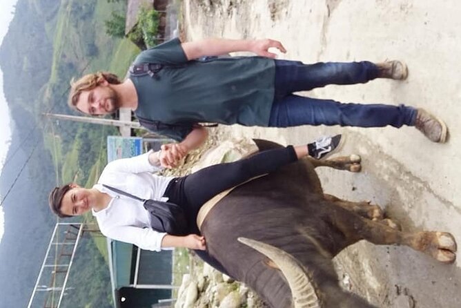 Sapa private: One day of funny Buffalo Ride & Trekking Tour - The Buffalo Ride: Funny, Short, and Worth Taking Seriously