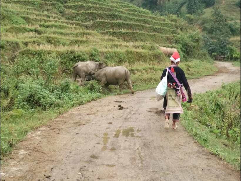 Sapa: Private trek to Muong Hoa Valley - Lao Chai rice terraces: the view break that ties the whole hike together