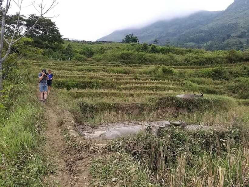 Sapa: Private trek to Muong Hoa Valley - Lunch near the river or at a local restaurant, plus how to enjoy it well
