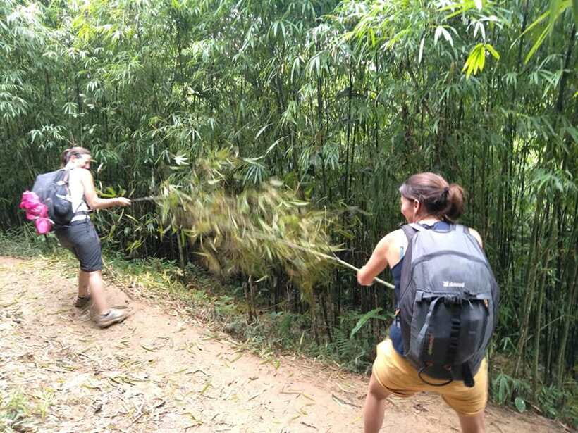 Sapa: Private trek to Muong Hoa Valley - Price and what you actually get for $47 per person